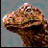 osbourneoo's profile image