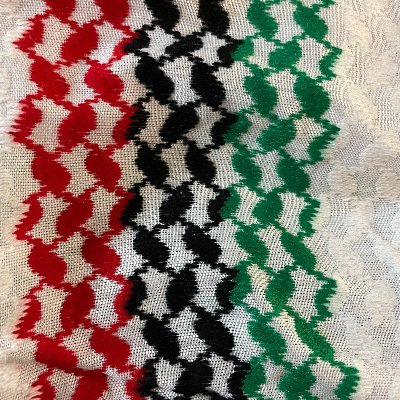 ❤️🖤🤍💚 Love Moves You 🇵🇸