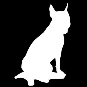 notMandog's profile picture. Happy life, with the machines scattered around the room