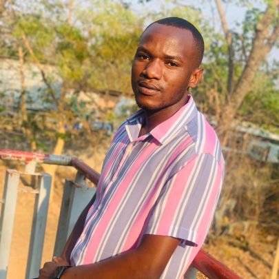 MwapeChanda01's profile picture. United nations online volunteer, YALI Cohort Alumni, Economics and Finance student.