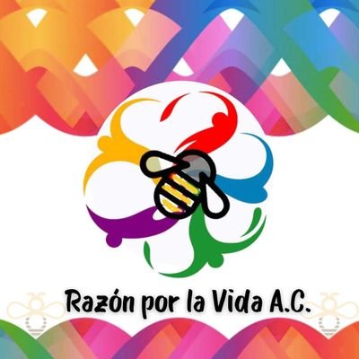 Somos una asociación que a través de la honestidad, nos permita desarrollar acciones a beneficio de nuestra comunidad.