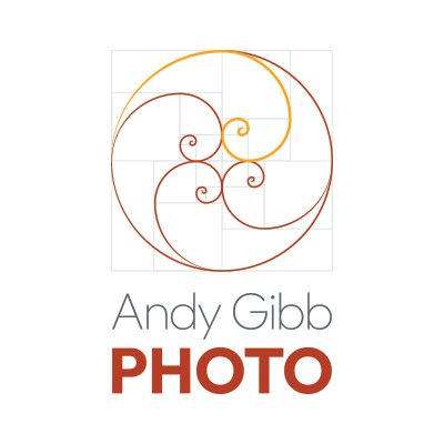 AndygibbAndy Profile Picture