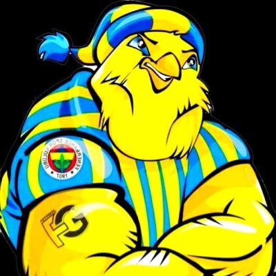 💛💙YALNIZCA FENERBAHÇE/PARODY ACCOUNT/FAN ACCOUNT💛💙