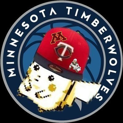 minnesuffering's profile picture. he/him | twins and timberwolves sth