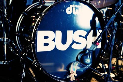 Fundado em 1996, foi o primeiro fã-clube da banda Bush no Brasil. Agora, na forma de um Street Team, tornou-se um canal de informações sobre a banda.