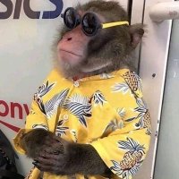 Billy le Bon🔆🇫🇷 (@saintpaulien) 's Twitter Profile
