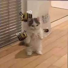 YoeyReformed's profile picture. 23
i be doin stuff sometimes
midwest emo enjoyer
detroit sports fan #OnePride