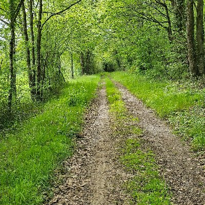 Lope et truie du 87 (St Vitte sur Briance) à humilier nue et pieds nus.
Telegram @danslanature