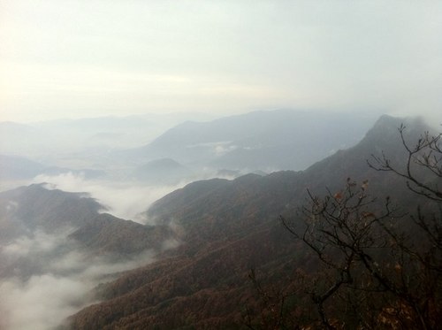 doinsi's profile picture. 