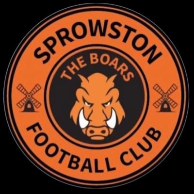 First Team - Anglian Combination Premier. Reserve Team - Anglian Combination Div 3……🟠🐗⚫️ UP THE BOARS ⚫️🐗🟠