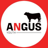 Angus Youth Aus(@angusyouthaus) 's Twitter Profile Photo