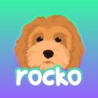 Rocko_On_Sol Profile Picture