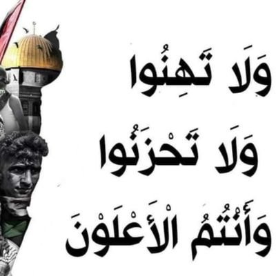 shrouk2712's profile picture. 