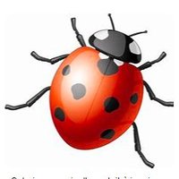 France Informel (@franceinformel) 's Twitter Profile