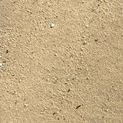 snow45519907's profile picture. 