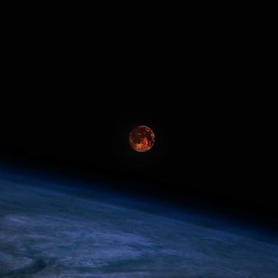 RedWorldGames's profile picture. Solo game developer