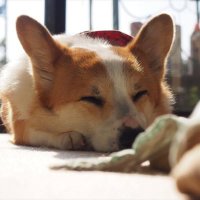 ケイチャン (@a7iv_sigma) 's Twitter Profile