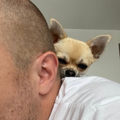 FRemplakowski's profile picture. Opinions are my own. Pro BSL and other measures. The safety of people and other animals matters more than a persons right to own a blood sports breed.