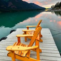 Janis Beal (@coachjbeal) 's Twitter Profile