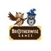 Brotherwise Games (@bwisegames) Twitter profile photo