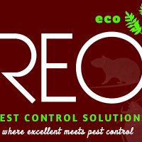 Reo Pest Control Experts 07061385616(@REOpestsexperts) 's Twitter Profile Photo