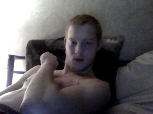 alexstracener's profile picture. 