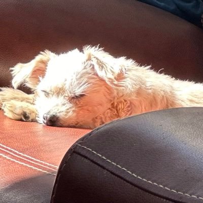 wawa1205's profile picture. enjoying life while you can.