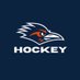 UTSA Hockey (@birdsuphockey) Twitter profile photo