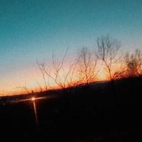 ankgencp (@ankgencp) Twitter profile photo