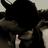 malone_ben's profile image