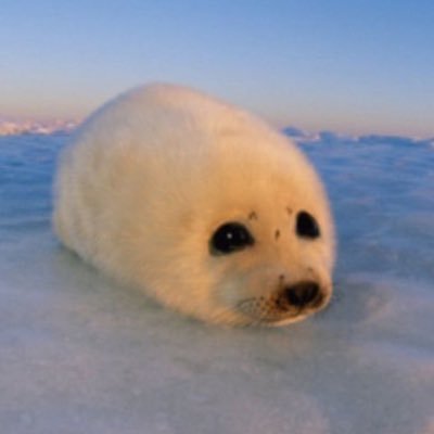 Cloud!! (Archived Edition)さんのプロフィール画像