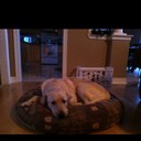 Caleb - @caleb_gannon - Twitter