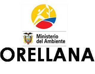 Dirección Provincial de Orellana-Ministerio del Ambiente. Noticias, información, denuncias.