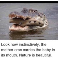 QuangTran (@quangtr54643597) 's Twitter Profile