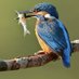 World Of Wildlife & Nature V.1.0 (@worldofwildlif2) Twitter profile photo World Of Wildlife & Nature V.1.0 (@worldofwildlif2) Twitter profile photo