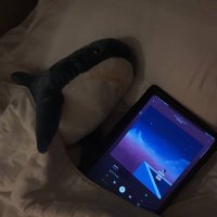 ฉลามไม่ชอบมะเขือเทศ(@LHVOICkKaKPJUFX) 's Twitter Profile Photo