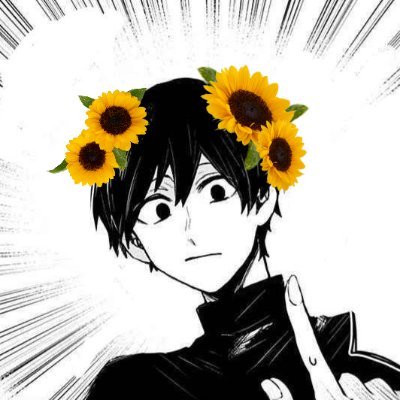 (not) Dan T.さんのプロフィール画像