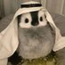 Seif Abdelaziz (@sabziz) Twitter profile photo Seif Abdelaziz (@sabziz) Twitter profile photo