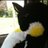 jmg080's profile image
