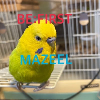 初心者🔰BESTY。マナトくん推し🐧MAZEELも推しになりFC入りMUZEに。RANくん推し🦅♡BMSG事務所推し。BE: FIRSTアリーナツアー11/2参戦しました！ビファは2024年2/4のKアリーナ🏟️東京ドーム2024年3/2・3参戦。おばさんですが仲良くしてくれる方募集中。