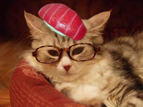 yakisoba's profile picture. 