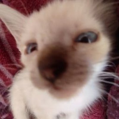 vm_eyra2010's profile picture. 