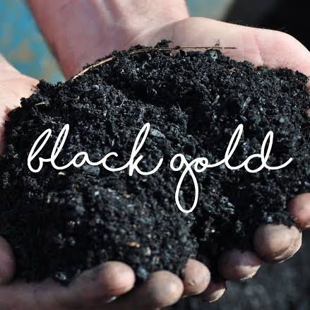 BiocharIDN's profile picture. Pertanian Regeneratif Biochar Indonesia 
Mengubah Sampah Menjadi Media Tanam Organik