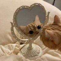 arsyaa˚୨୧ (@_rsarasm) 's Twitter Profile