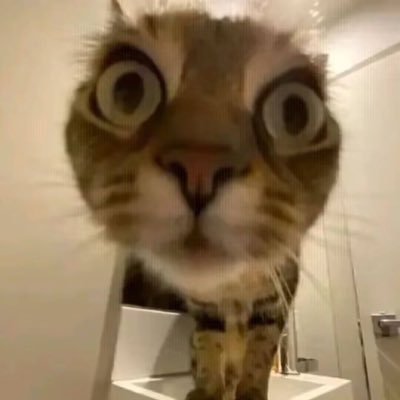 blackkey260's profile picture. 