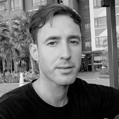 ZvonimirPapic's profile picture. Quit 9-5, now building a mood tracking app with a little bird 🐥companion  Day 3/90