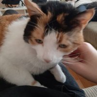 Eren Erdi (@erenerdiii) 's Twitter Profile