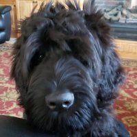 dustmagnet (@dustmagnet1) 's Twitter Profile
