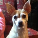 Debbie Schultz - @dschultz102 - Twitter