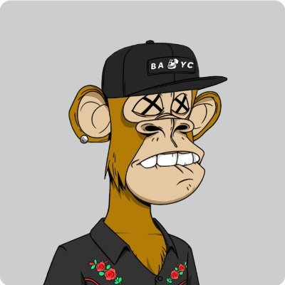 BacKieuPhong00's profile picture. i am student